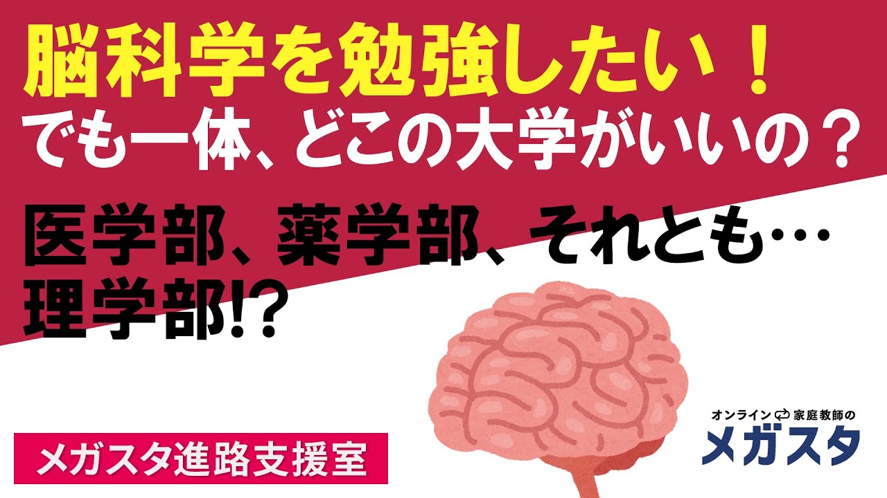 脳科学を勉強したい でも一体 どこの大学がいいの 医学部 薬学部 それとも 理学部 Youtube