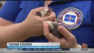 New director of Indianapolis Animal Care and Control