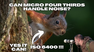 Hoe voorkom en behandel je ruis op een Micro Four Thirds-camera! OM-1 MKII