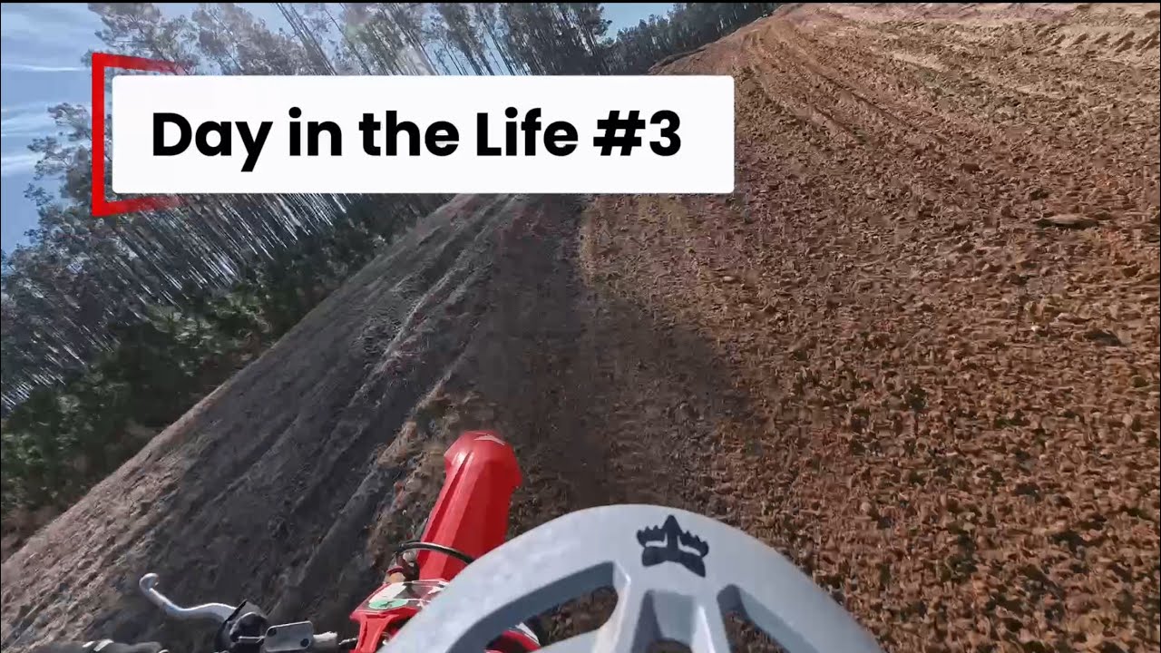 DREAMLAND (Day In The Life #3)