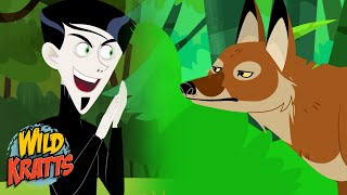 Zach Vs Coyotes | Wild Kratts by Wild Kratts - 9 Story 38,392 views 3 days ago 3 minutes, 29 seconds