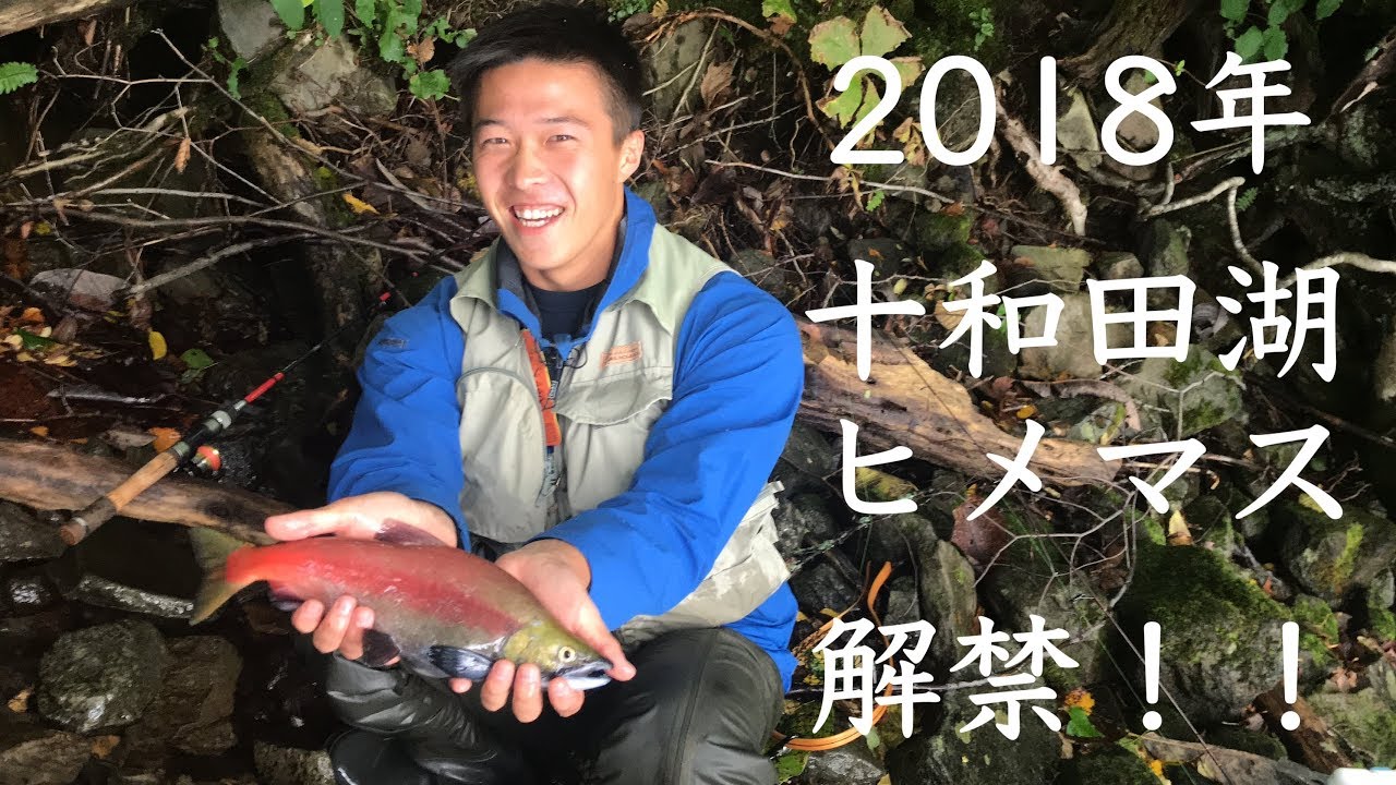 ヒメマス釣り解禁 十和田湖 18年10月1日 水中映像 ファイトシーン Youtube