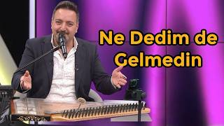 Turgay Coşkun - Ne Dedim De Gelmedin - 2024