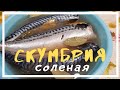 Очень Вкусный РЕЦЕПТ скумбрия малосольная пряного посола по ГОСТу. Готовим дома. Просто Вкусно