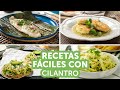 Recetas Fáciles con Cilantro | Kiwilimón