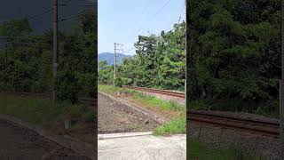 【電車】夢見た編成　リニューアルいしづち＋しおかぜ8000系アンパンマン列車　（JR四国　予讃線　柳添第２踏切付近）  #jr四国 #電車 #Railroad crossing  #japan