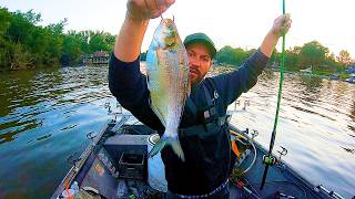 HUGE Bait Gets Devoured by BIG Catfish!!