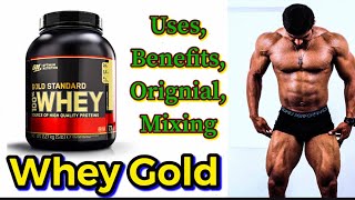 Myprotien Vs Whey Protein Gold Standard Comparison In Hindi Urdu