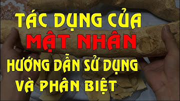 Mật Nhân - Cách sử dụng Rễ Mật Nhân giúp tăng cường sinh lý - Tác dụng của Mật Nhân