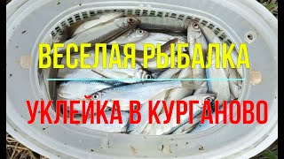 Веселая рыбалка. Уклейка клюет не переставая.