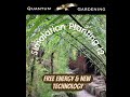 Simulation Planting 12 - Free Energy &amp; New Technology @5DGardening