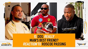 Lewis Hamilton’s dog passed away and the world mourned, we talk on how humans view pets | The Pivot