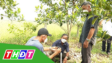 Hội quán của nhà vườn trồng cây ăn trái ở huyện Tháp Mười