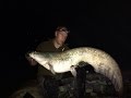 Fischen in der WALLERWELT am Po in Italien - Catfish Fiume Po Black Cat