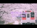 城南海_桜♪-sakura- kyogo kawaguchi『4k ULTRA HD』