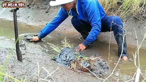 Đặt Lợp Ếch Dưới Mương Nước Sắc Cạn /Út Miền Tây