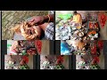 Blog 102  Gaow Ke Ghar Me Satynarayan Puja Vidhi Ki Blog....