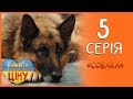 Собака - найкращий подарунок для дитини! 5 серія 1 сезон | Вижити за будь-яку ціну