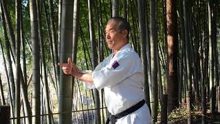 極真館・盧山初雄館長・演武（探手） - YouTube