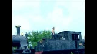 Doddie & Dewie - manyasal