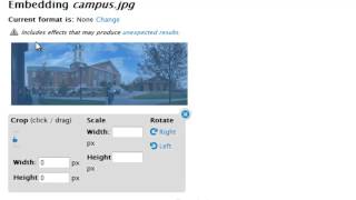 Full Drupal 7 Media Upload Update