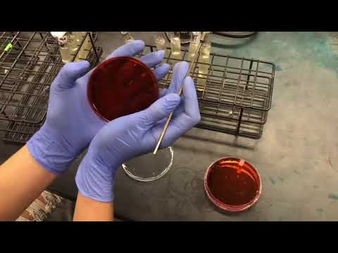 Exercise 21A Most probable Number MPN method for coliform analysis