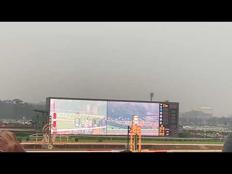【競馬】有馬記念2018 平成最後のグランプリ 現地生ファンファーレ