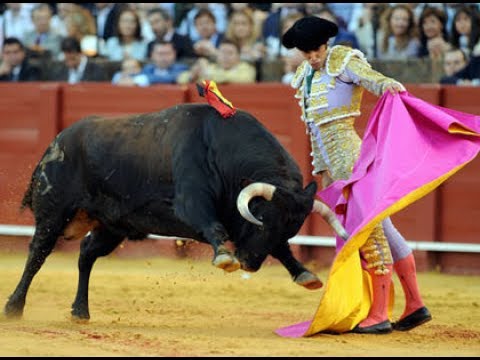 Video: Apakah banteng yang duduk membunuh custer?