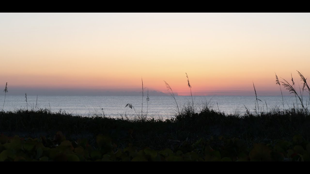 Delray Beach Natural Dunes YouTube