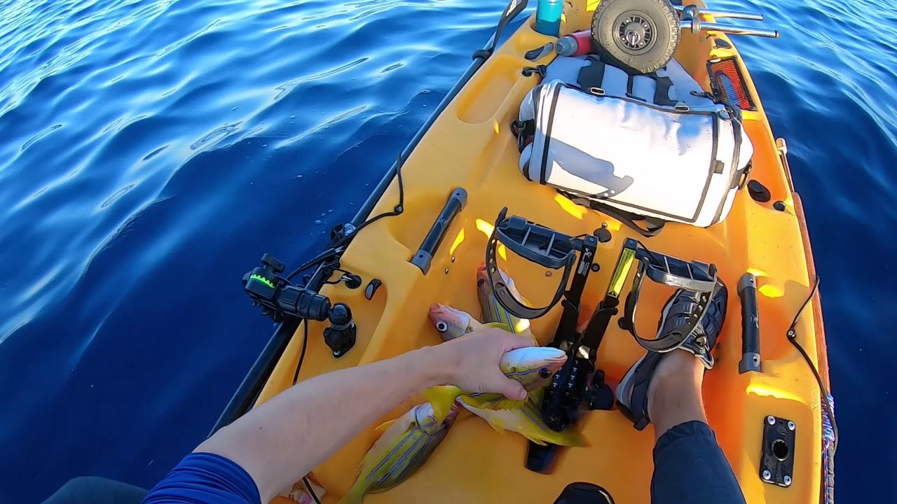 Hawaii Kayak Fishing Big Island Compilation 2020 Opelu Ahi Uku Kahala Amberjack Aha Needlefish