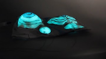 Octopus-Inspired Camouflage for Soft Robotics