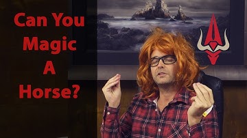 ZED Run | The Secret to Success!!!