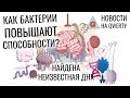 Ум из-за бактерий. Каплевидная звезда. Неизвестная ДНК. Цунами от Чиксулуба. Новости QWERTY №179