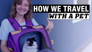 We Travelled with a Cat Across Thailand | Everything You Need to Know
