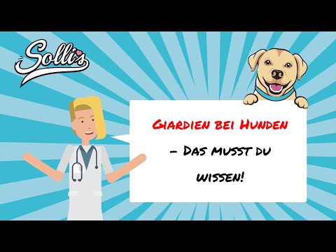 Video: Giardia Bei Hunden: Symptome, Ursachen Und Behandlungen