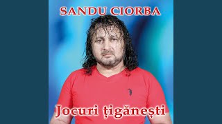 Video thumbnail of "Sandu Ciorba - Calu' rau Trebe Schimbat"