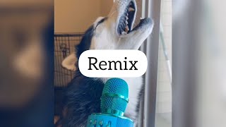 A Singing Dog Remix Azeremix