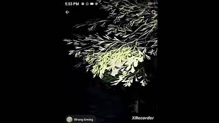 huggy buggy edit w 🤙🏻🤙🏻🤙🏻