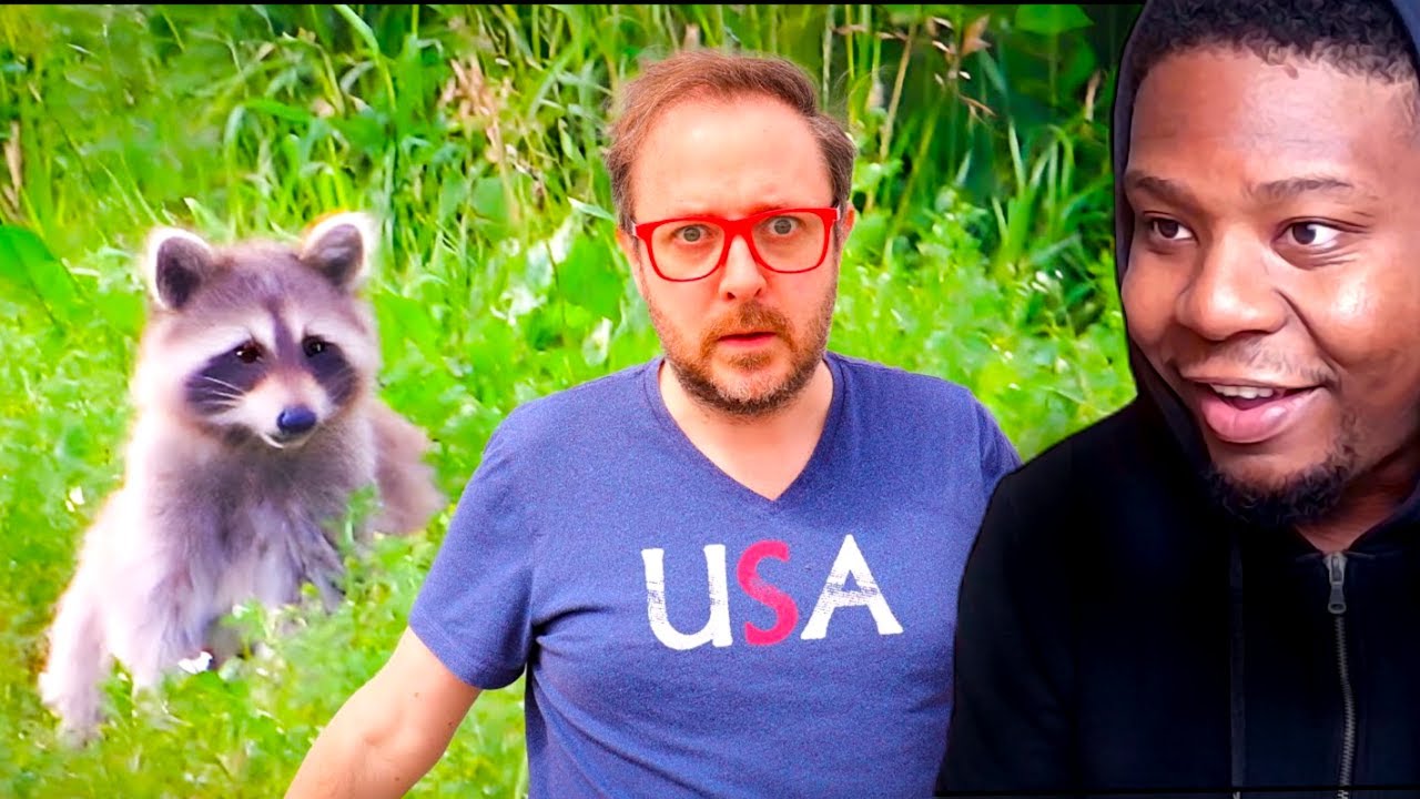 AFRICAN LEARNS About American Racoons - YouTube