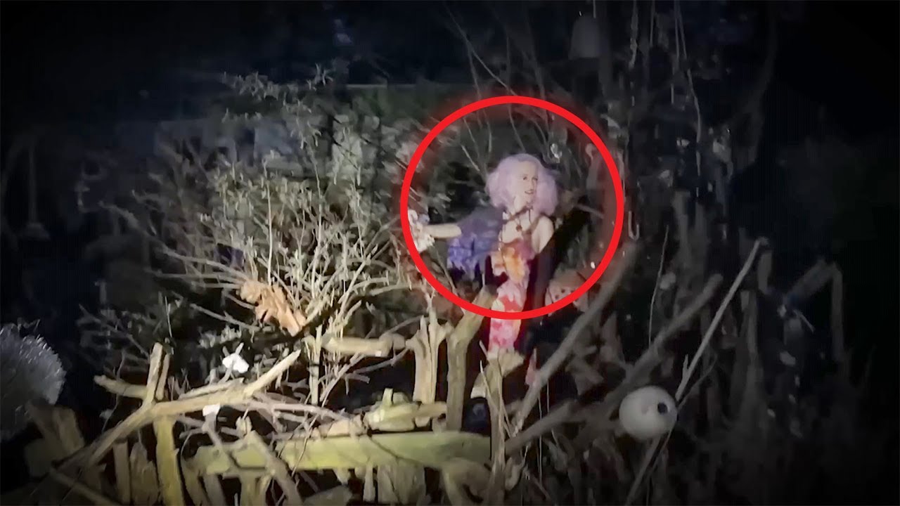 لقطات مرعبة صورتها الكاميرا اثناء التخييم في الغابات ولم يجدو لها تفسير!