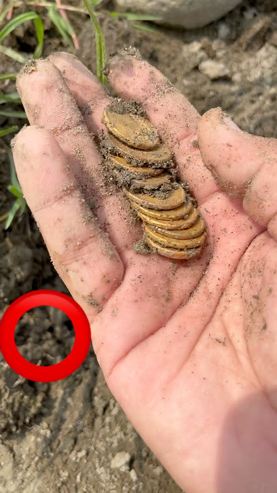 Rare Ancient Coins Found in Mud | Real Treasure Discovery #shorts