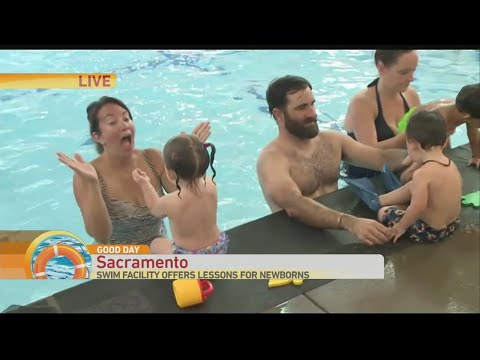 Little Whale Swim