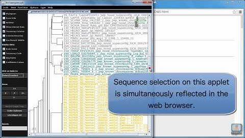 Collecting amino acid sequences and building a phylogenetic tree on the aLeaves and MAFFT servers.