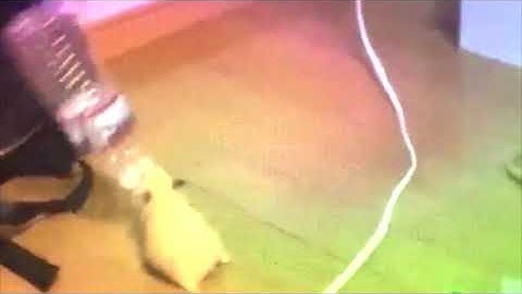 Hammie Boye long cut