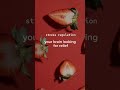 3 Reasons Food Spending Gets Emotional