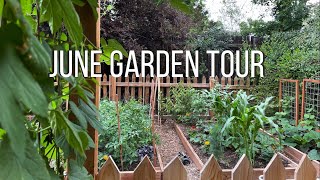 June Garden Tour 2021 by Kait 1,336 views 2 years ago 10 minutes, 43 seconds