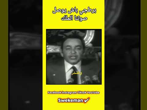 برطجي باش يوصل الملك نعم لا 