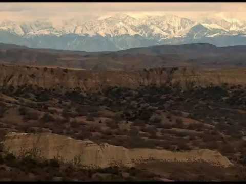 თომა დეკანოიძე გადაცემა \"ეკოფაქტში\"