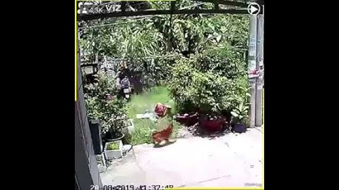 Trời ơi cứu tôi trời ơi