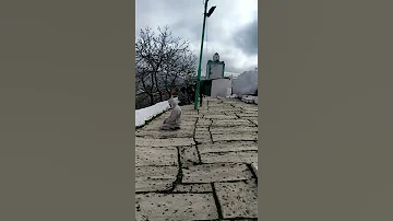 مولاي عبد السلام بن مشيش علو الجبل 1368 متر 